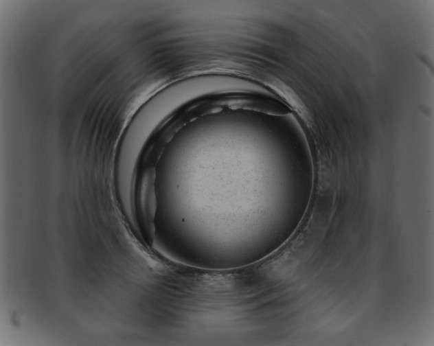 X0000093210850200709261555