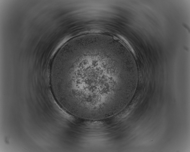 X0000093210851200709261555