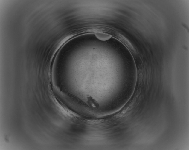 X0000093210852200709261555