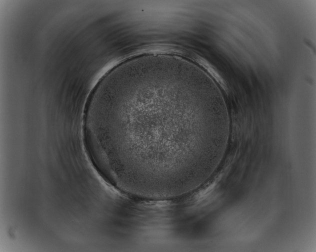 X0000093210853200709261555