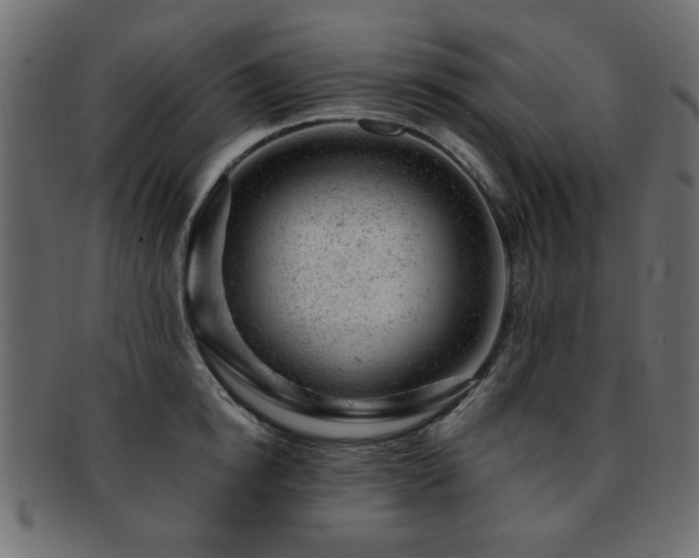 X0000093210854200709261555