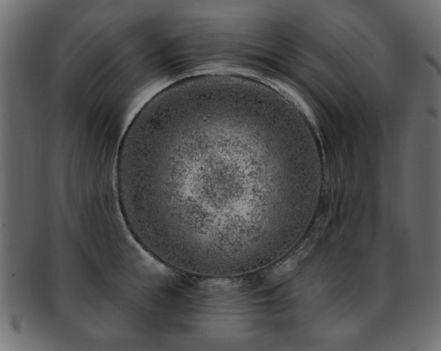 X0000093210855200709261555