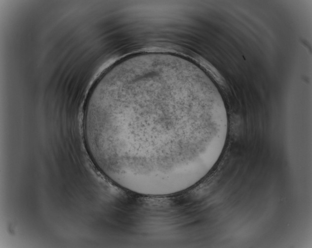 X0000093210856200709261555