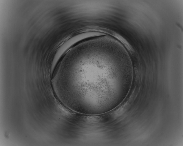 X0000093210857200709261555