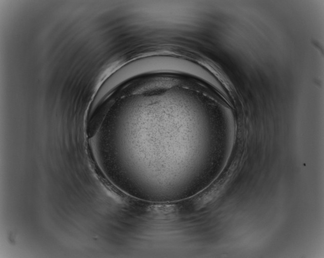 X0000093210858200709261555