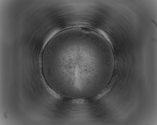 X0000093210859200709261555