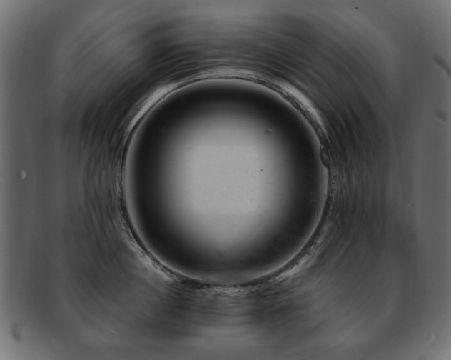 X0000093210860200709261555