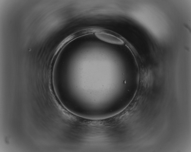 X0000093210861200709261555