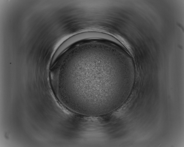 X0000093210862200709261555