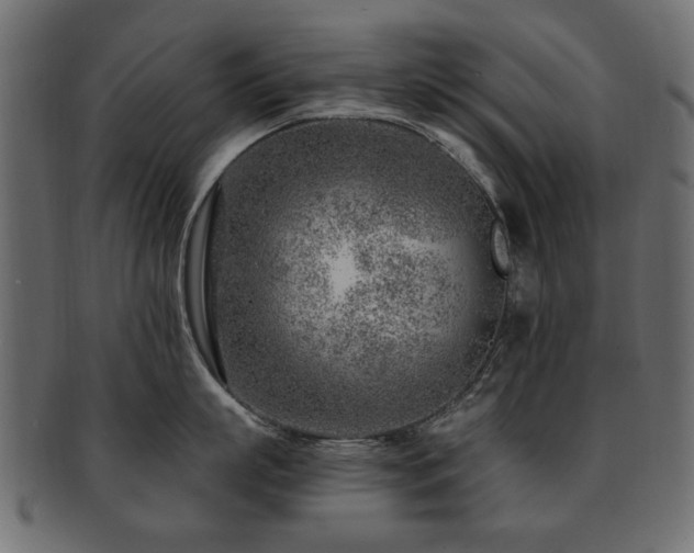X0000093210863200709261555
