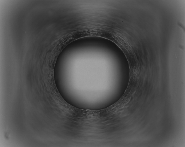 X0000093210865200709261554