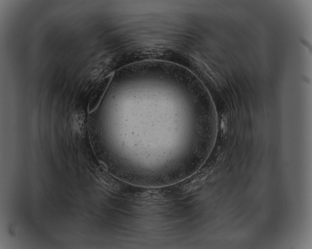 X0000093210867200709261554