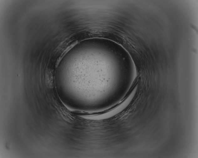 X0000093210868200709261554
