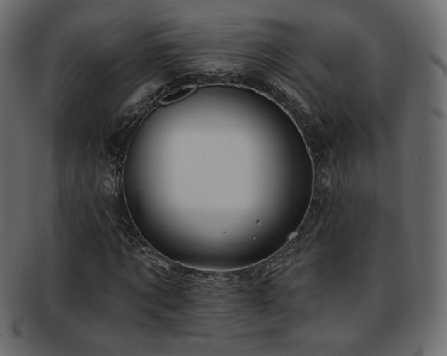 X0000093210869200709261554