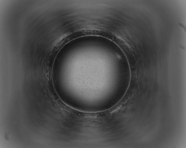 X0000093210870200709261554