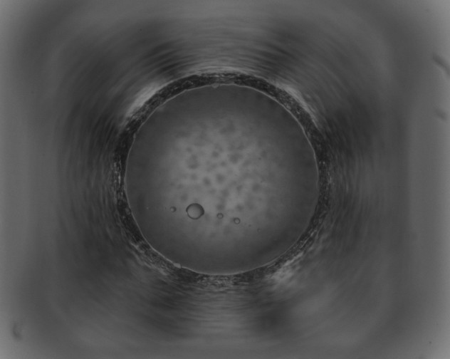 X0000093210871200709261554