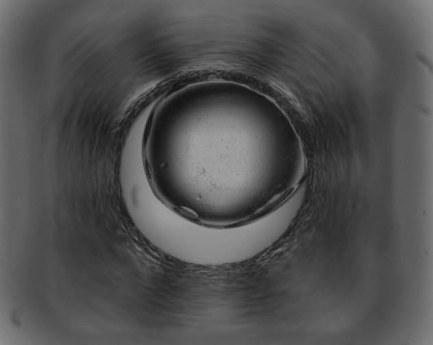 X0000093210872200709261554