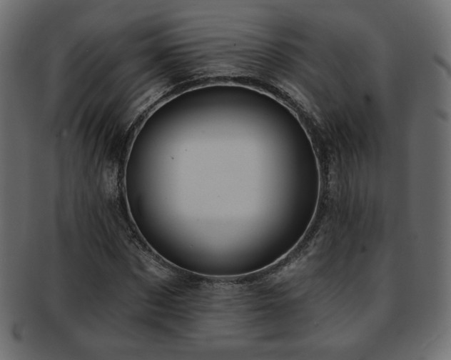 X0000093210873200709261554
