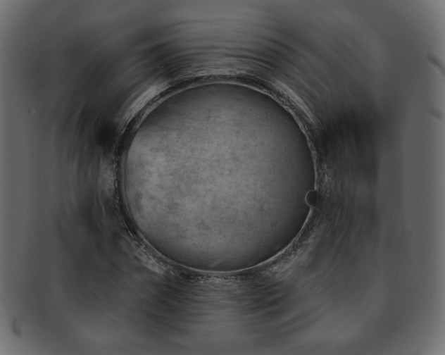 X0000093210874200709261554