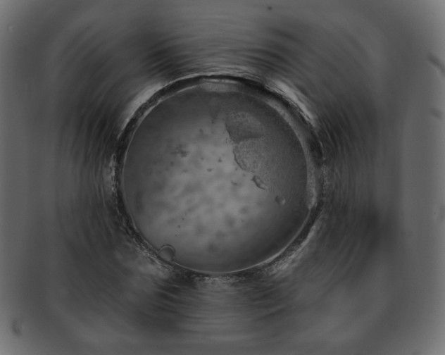 X0000093210875200709261554