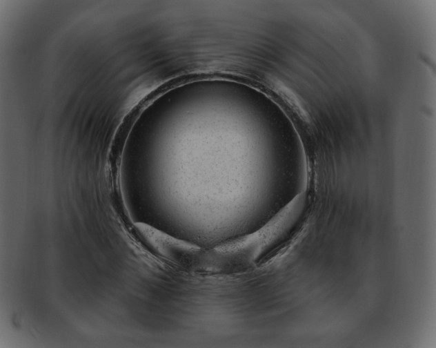 X0000093210876200709261554