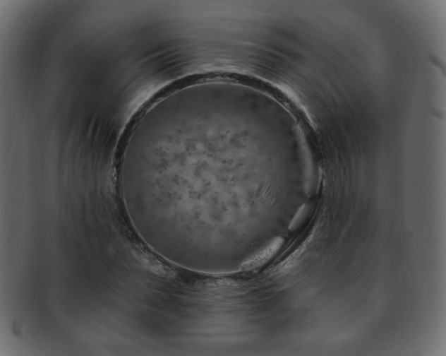 X0000093210879200709261554