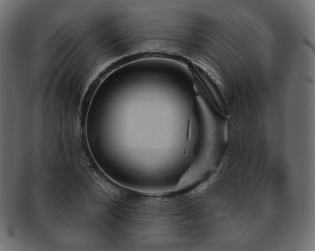X0000093210880200709261554