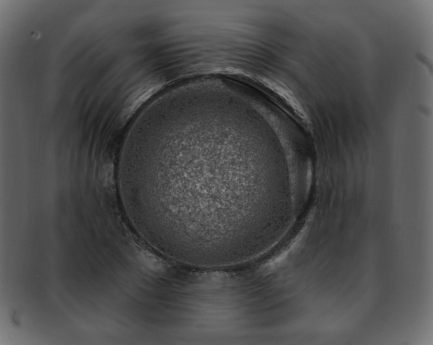 X0000093210881200709261554