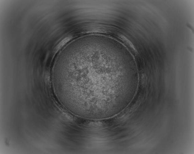X0000093210882200709261554
