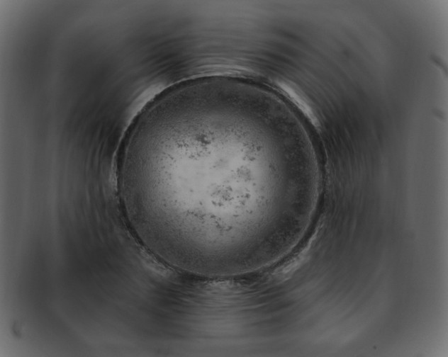 X0000093210883200709261554