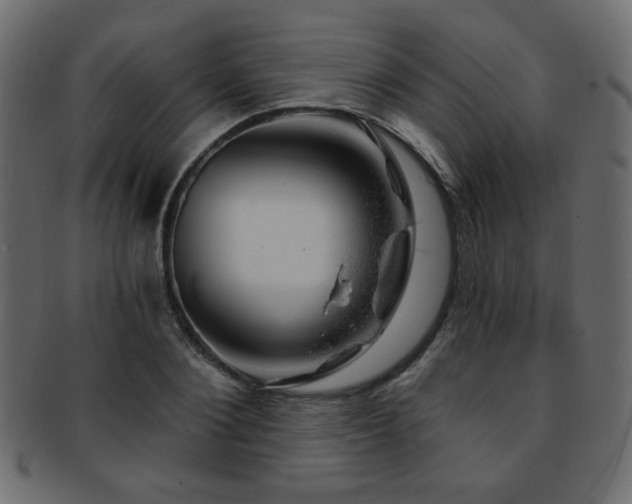 X0000093210884200709261554
