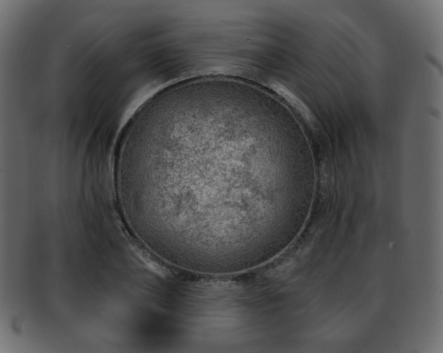 X0000093210886200709261554