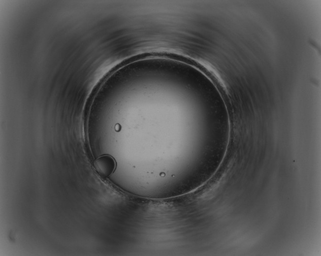 X0000093210887200709261554