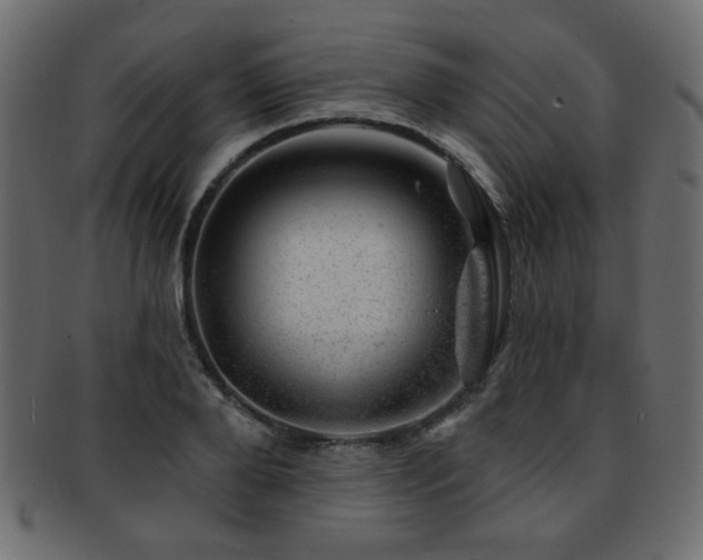 X0000093210888200709261554
