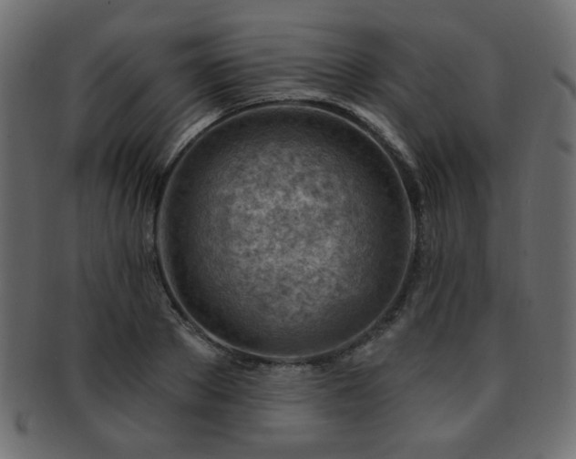X0000093210889200709261554