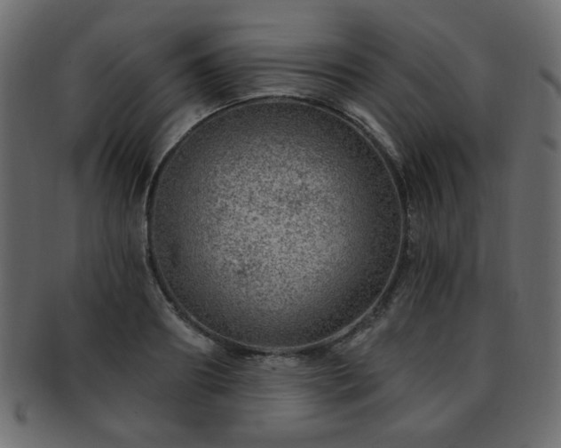 X0000093210890200709261554