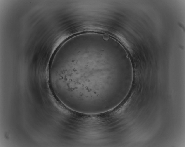 X0000093210891200709261554