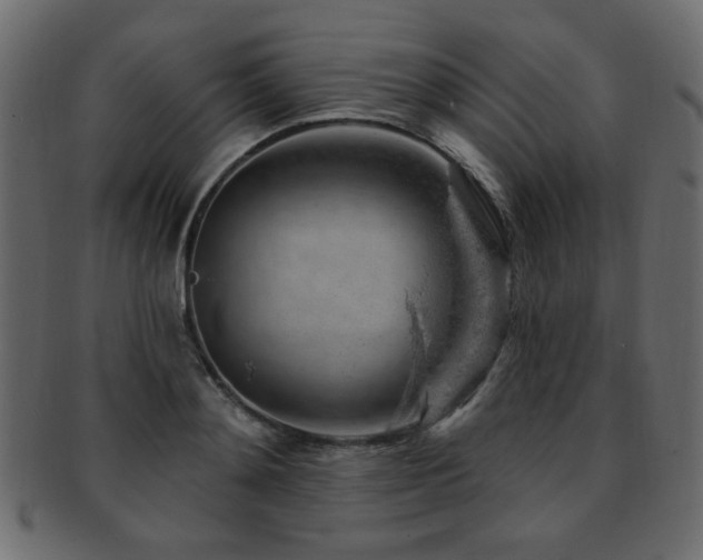 X0000093210892200709261554