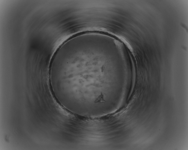 X0000093210895200709261554