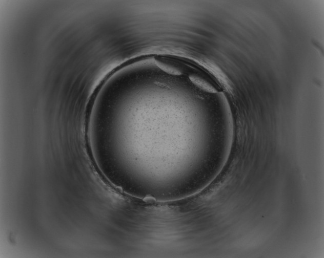 X0000093210896200709261554
