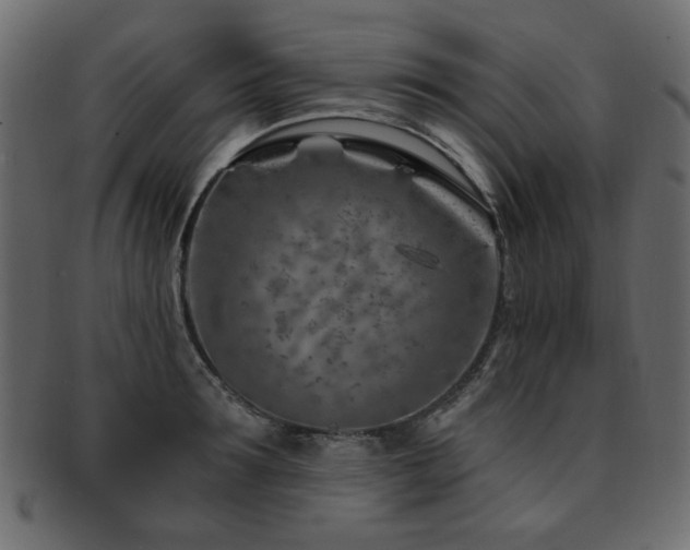 X0000093210899200709261554