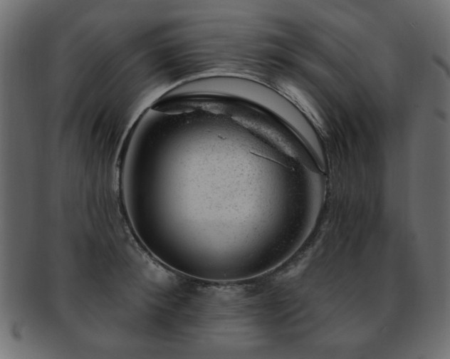X0000093210900200709261554