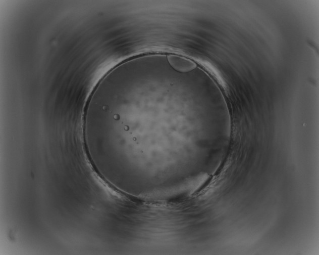 X0000093210903200709261554