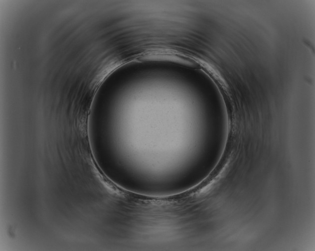 X0000093210905200709261554
