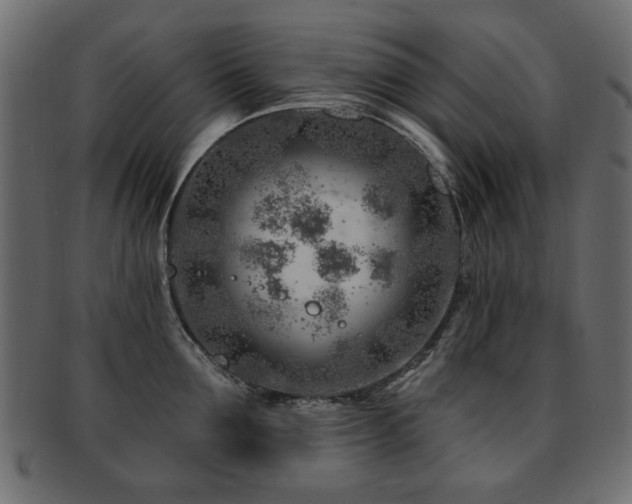 X0000093210907200709261554