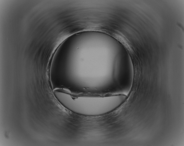 X0000093210908200709261554