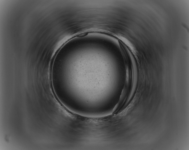 X0000093210910200709261554