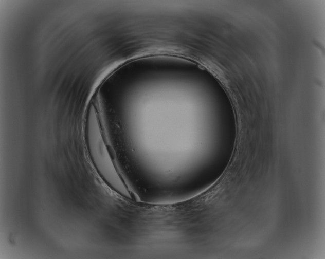 X0000093210912200709261554