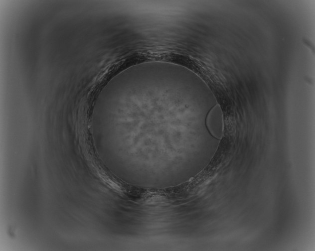 X0000093210913200709261553