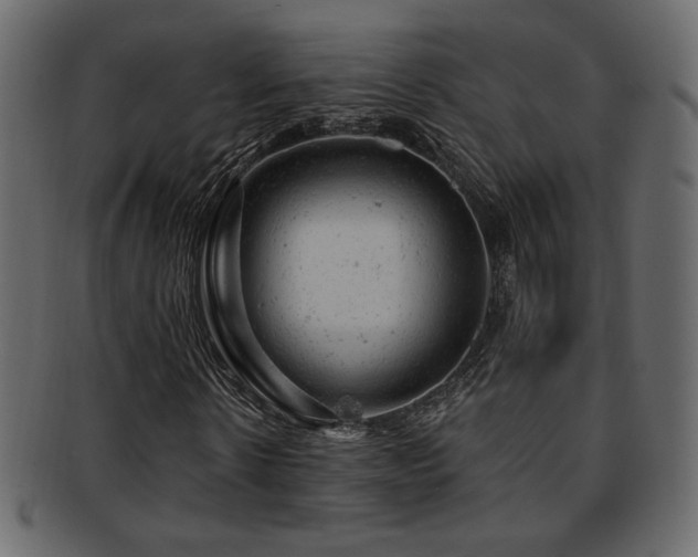X0000093210914200709261553